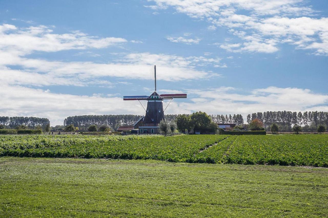 Slapen Aan De Voet Van De Molen Ovezande Exteriér fotografie