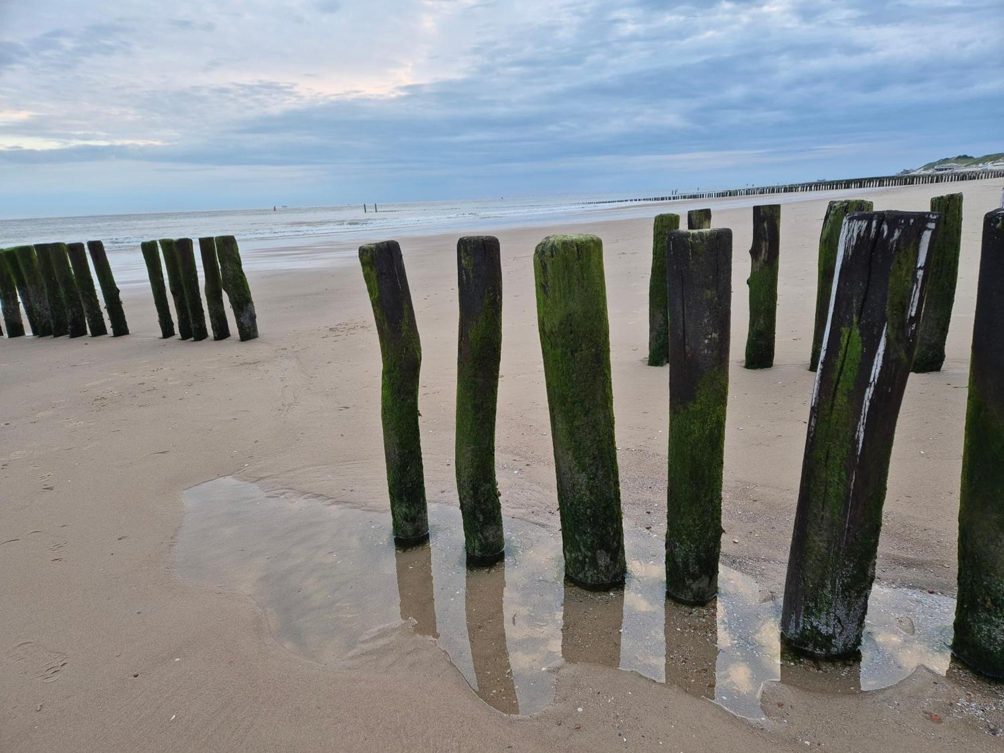 Slapen Aan De Voet Van De Molen Ovezande Exteriér fotografie