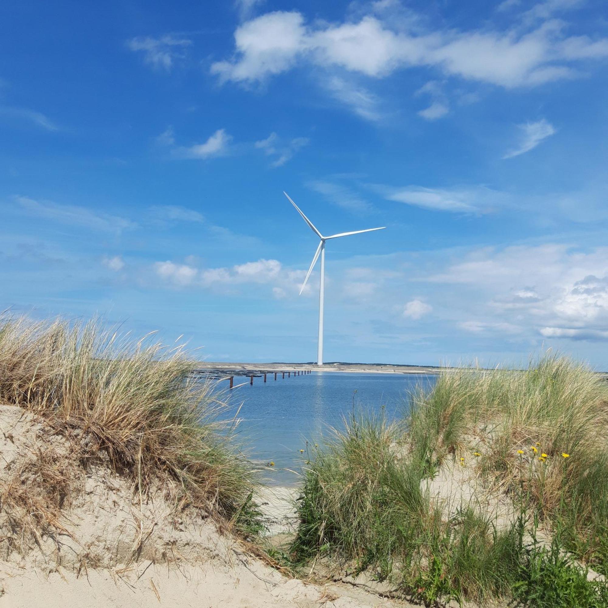 Slapen Aan De Voet Van De Molen Ovezande Exteriér fotografie